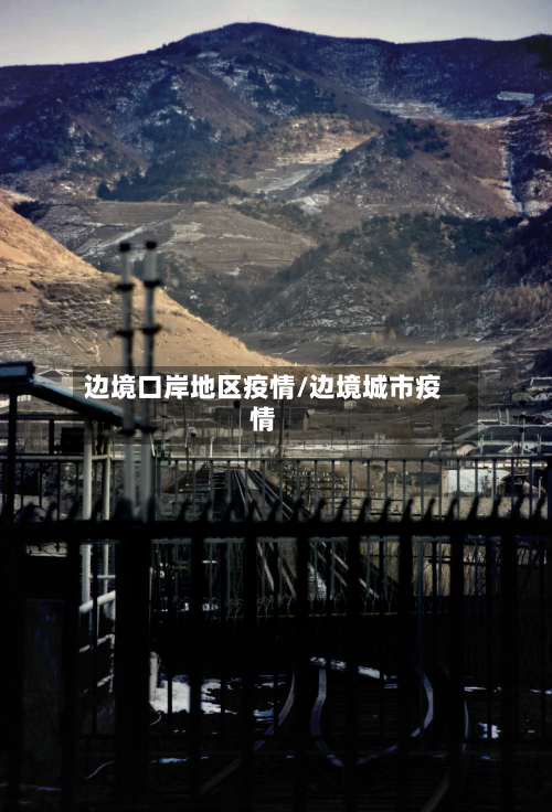 边境口岸地区疫情/边境城市疫情-第2张图片