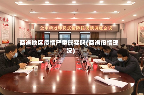 商洛地区疫情严重属实吗(商洛役情现况)