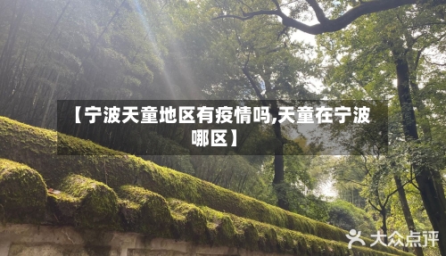 【宁波天童地区有疫情吗,天童在宁波哪区】-第2张图片
