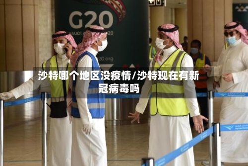 沙特哪个地区没疫情/沙特现在有新冠病毒吗-第2张图片