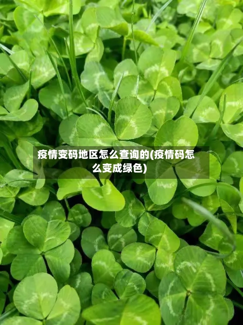 疫情变码地区怎么查询的(疫情码怎么变成绿色)-第2张图片