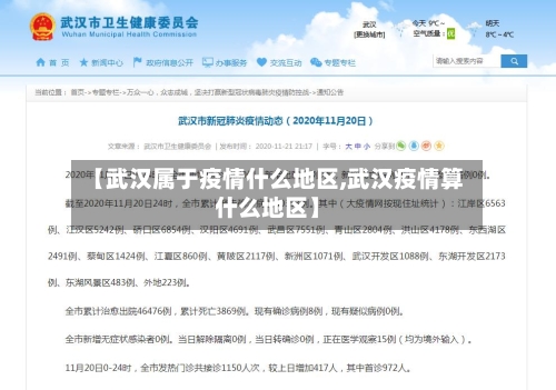 【武汉属于疫情什么地区,武汉疫情算什么地区】-第1张图片