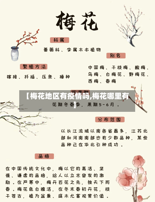 【梅花地区有疫情吗,梅花哪里有】-第2张图片