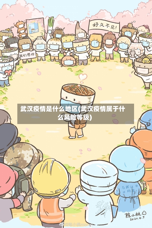 武汉疫情是什么地区(武汉疫情属于什么风险等级)-第2张图片