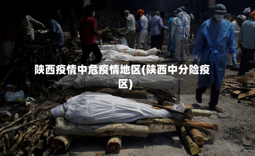陕西疫情中危疫情地区(陕西中分险疫区)-第1张图片
