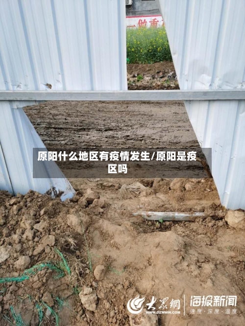 原阳什么地区有疫情发生/原阳是疫区吗-第1张图片