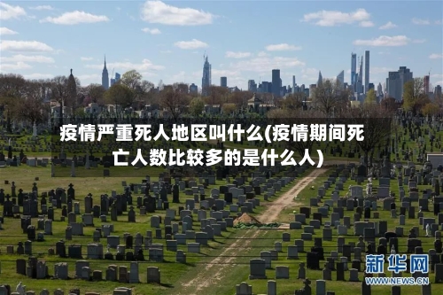 疫情严重死人地区叫什么(疫情期间死亡人数比较多的是什么人)-第3张图片
