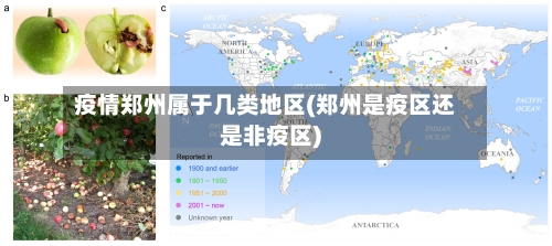 疫情郑州属于几类地区(郑州是疫区还是非疫区)-第2张图片