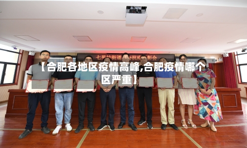 【合肥各地区疫情高峰,合肥疫情哪个区严重】-第1张图片