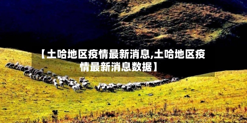 【土哈地区疫情最新消息,土哈地区疫情最新消息数据】-第2张图片