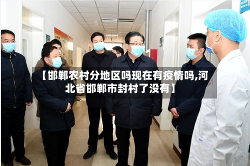 【邯郸农村分地区吗现在有疫情吗,河北省邯郸市封村了没有】-第3张图片