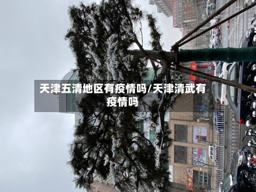 天津五清地区有疫情吗/天津清武有疫情吗-第3张图片