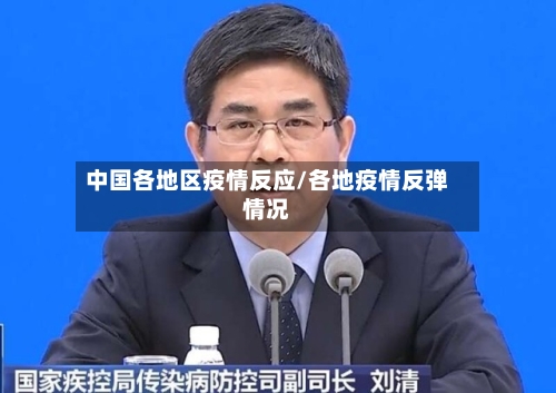 中国各地区疫情反应/各地疫情反弹情况-第2张图片