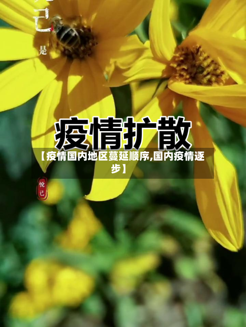 【疫情国内地区蔓延顺序,国内疫情逐步】-第1张图片