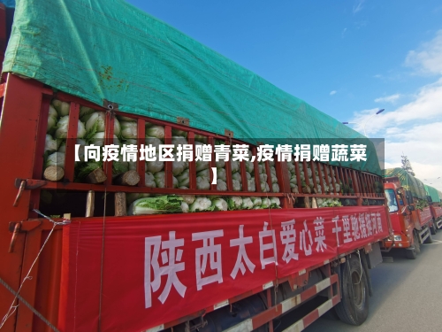 【向疫情地区捐赠青菜,疫情捐赠蔬菜】-第2张图片