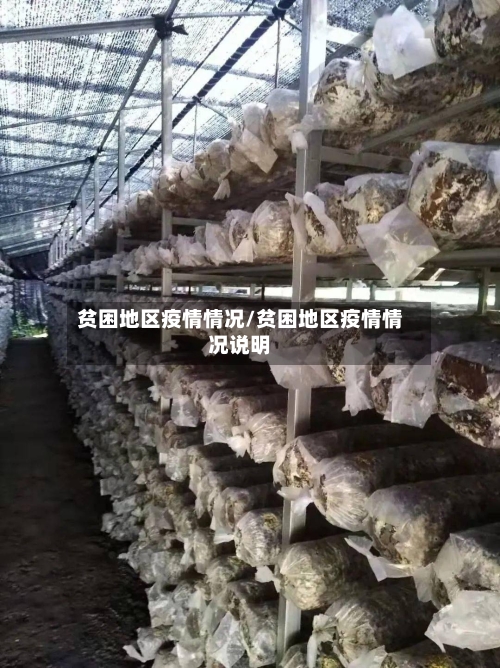 贫困地区疫情情况/贫困地区疫情情况说明-第2张图片