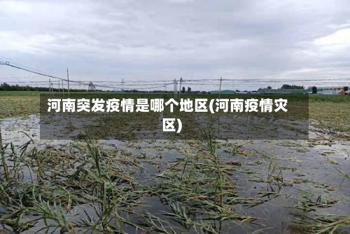 河南突发疫情是哪个地区(河南疫情灾区)-第1张图片