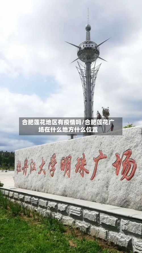 合肥莲花地区有疫情吗/合肥莲花广场在什么地方什么位置-第1张图片