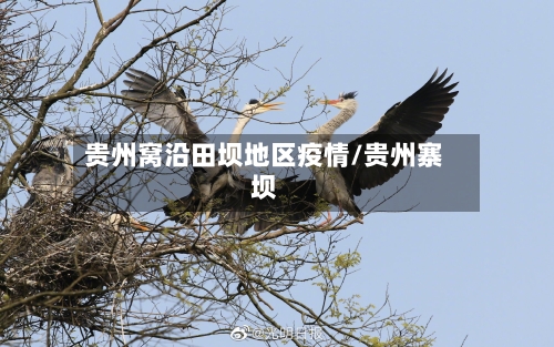 贵州窝沿田坝地区疫情/贵州寨坝-第2张图片