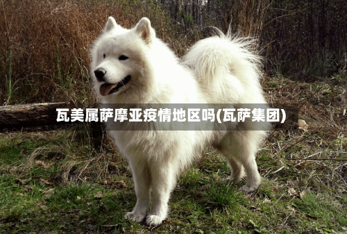 瓦美属萨摩亚疫情地区吗(瓦萨集团)-第1张图片