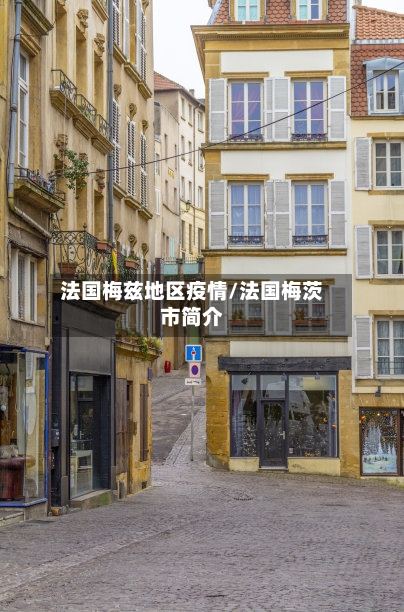 法国梅兹地区疫情/法国梅茨市简介-第1张图片
